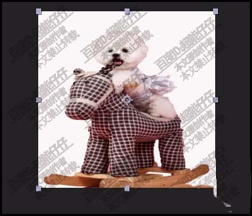 AE怎么使用笔刷工具抠图?