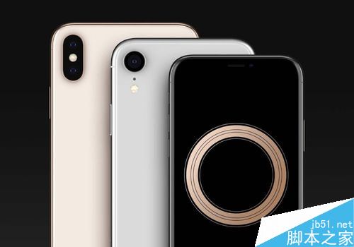 苹果手机型号后面的英文字母是什么意思?