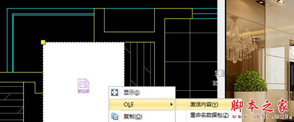 迅捷CAD编辑器插入OLE园林的详细操作对象cadv园林流程图片