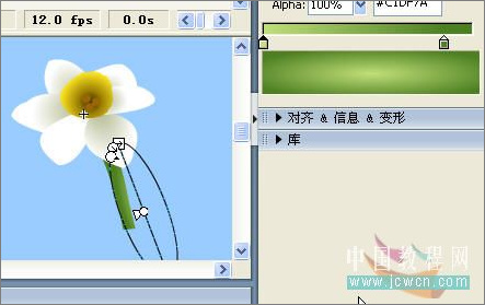 Flash绘画技巧实例:鼠绘好看的水仙花