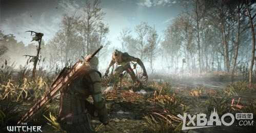 巫师3:狂猎猫学派套装怎么获得_巫师3猫学派套