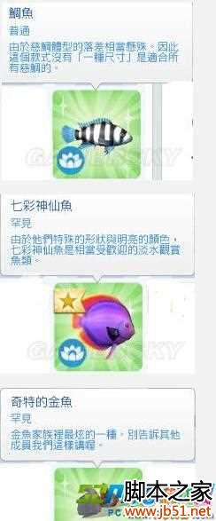 模拟人生4冰酷厨房新增鱼类收集攻略