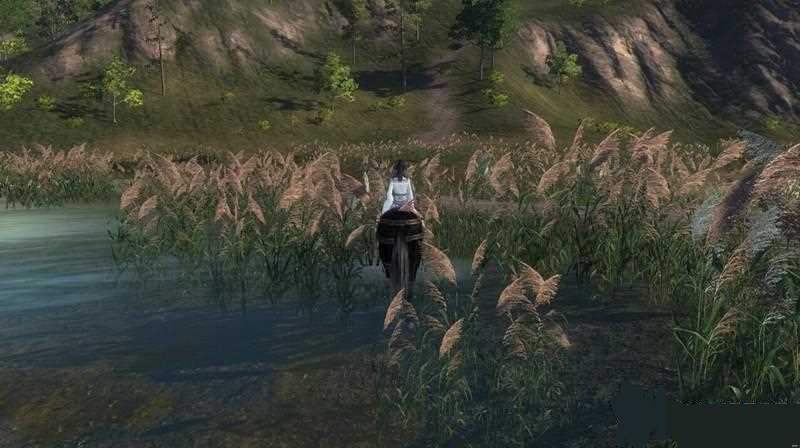 �������µ��Ż�ˮ�ƺ�«�������سɾ���ɹ���