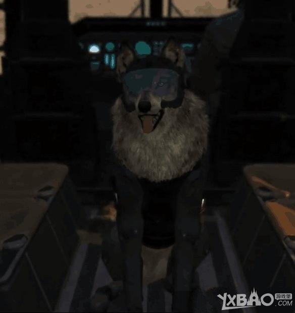 �Ͻ�װ��5����ʹdd��ʹ�÷�������