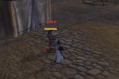 �ڿƼ�GIF�������� �߶������۽��ر�