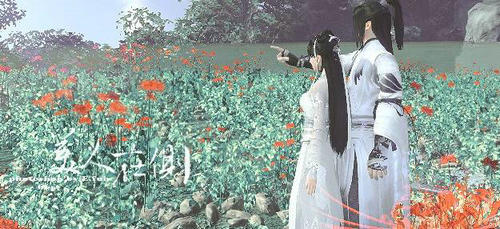 天涯明月刀心法残页怎么得 天刀心法残叶获取攻略