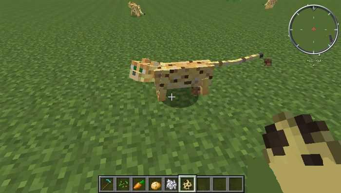 我的世界驯服豹猫方法攻略