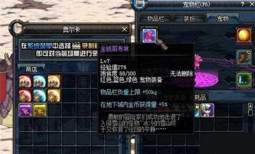 dnfשӽҵĳƺװ ³ǰשر