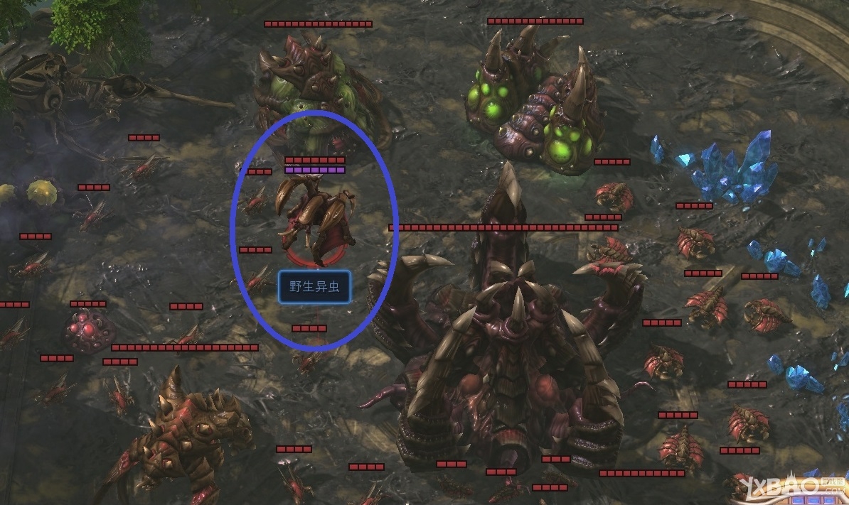 《星际争霸2:虚空之遗》湮灭降临成就