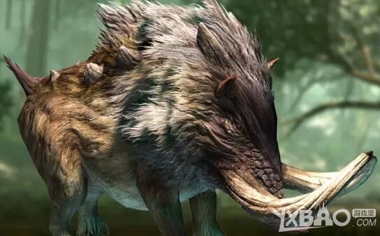 ����������OL����������������