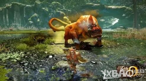 ����������OL����������������