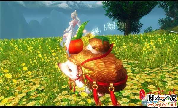 ����3�����������������