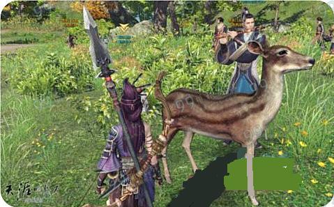 天涯明月刀幼年香鹿在哪刷新 幼年香鹿位置坐标介绍