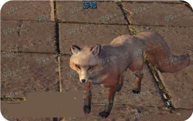 �������µ�����������ץ ������ˢ��λ���������