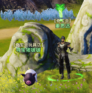 �����͡��汦���淨����