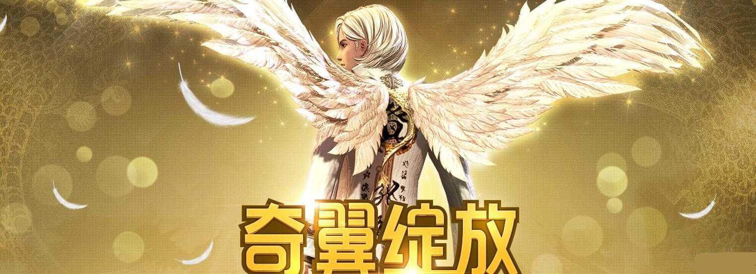 �����������Ż��ַ�����������