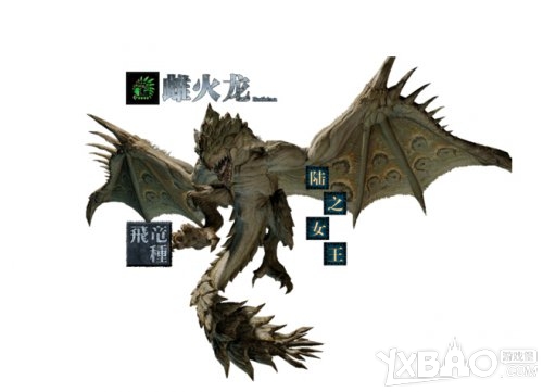 《怪物猎人OL》雌火龙技能分析介绍