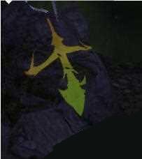 天涯明月刀冬日垂钓怎么钓的多 天刀垂钓技巧攻略