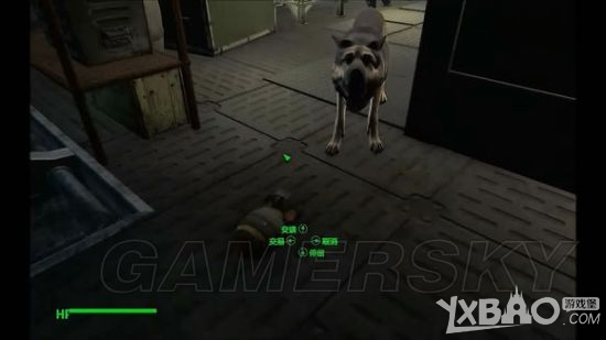 ����4��˹��ǹ�˵���X-01����װ�׻�ȡ����