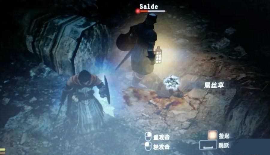 龙之信条黑暗觉者月亮花位置图文介绍