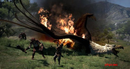 龙之信条黑暗觉者战士盾和剑怎么玩 盾战玩法介绍