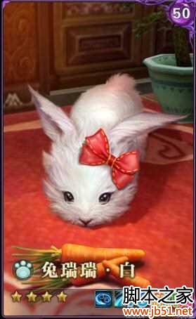 ����3���Ӹ�����ô�� ��������Ⱥ����߽���