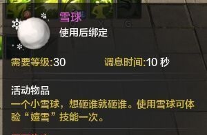 ���������µ�����ѩ�� ���顰��ѩ������