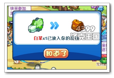 ��������ײ���ʲô�� ������