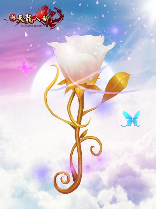 ������������õ��