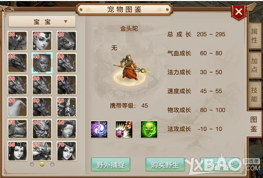 ���ʵ����Ρ���ͷ��ͼ��