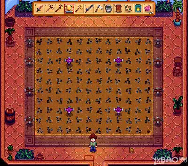 星露谷物语如何最大化利用温室_星露谷物语最