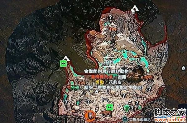 孤岛惊魂原始杀戮花豹在哪里 花豹位置介绍_单