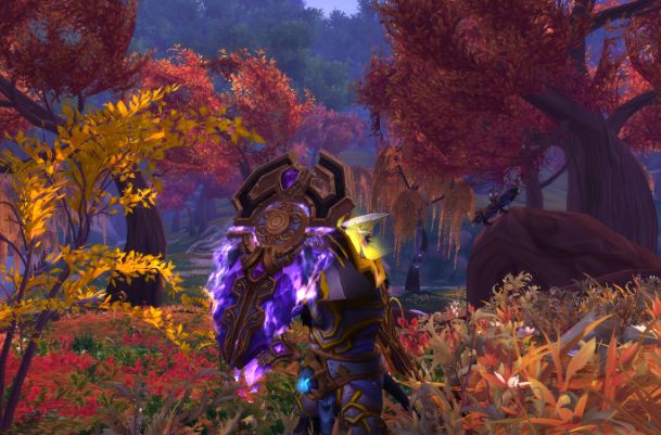 魔兽世界7.0防骑隐藏神器外观介绍 枯法者训练