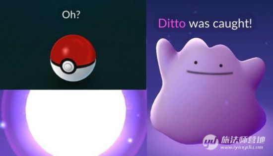 精灵宝可梦GO百变怪捕捉及使用攻略_手机游戏_游戏攻略_脚本之家