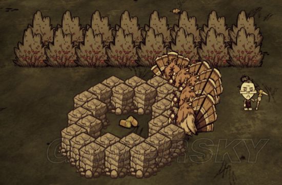 饥荒火鸡陷阱怎么做 火鸡陷阱制作教程_单机游