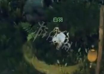 逆水寒南斗先生刷新技巧分享 南斗先生什么时