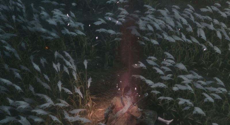 只狼影逝二度樱龙之泪是什么 樱龙之泪描述一