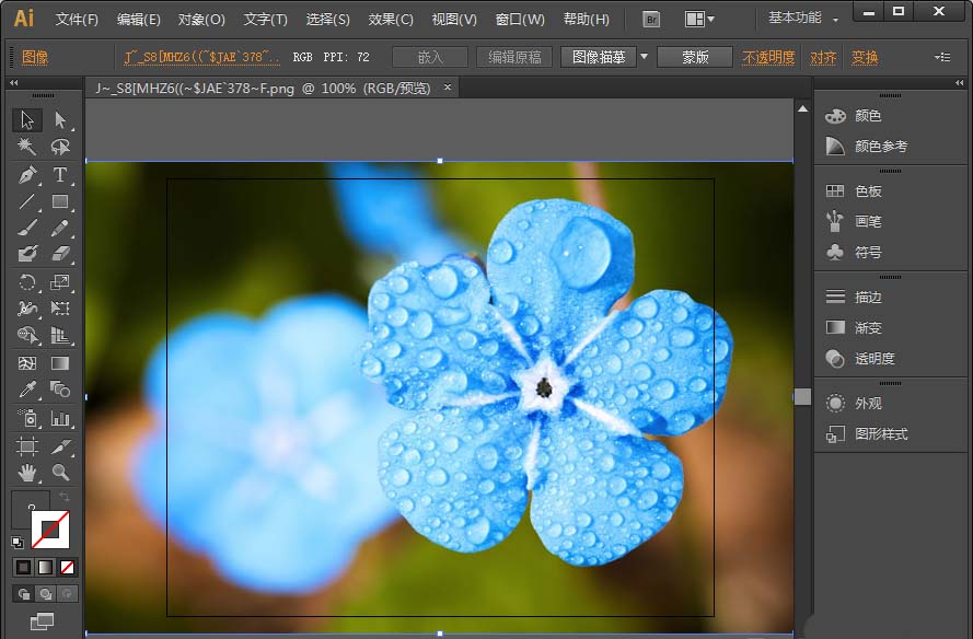 ai怎么抠图? ai快速抠出花朵的教程_Illustrator教