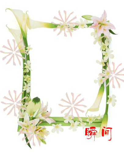 photoshop动画制作教程：图片切换