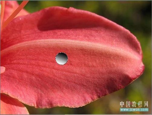 Photoshop轻松绘制树叶上的露珠_脚本之家jb51.net整理