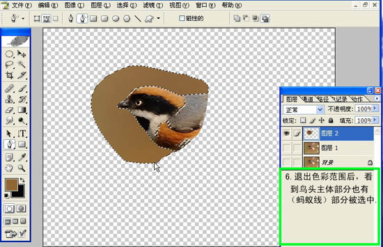 Photoshop 小鸟张嘴鸣叫动画