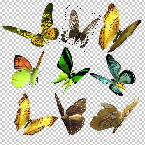 PS经典合成一个美丽女孩陶醉在草原上的场景