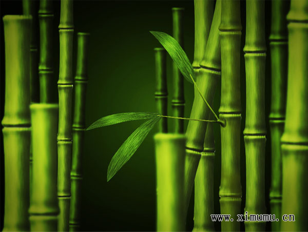 Photoshop打造漂亮的翠竹壁纸
