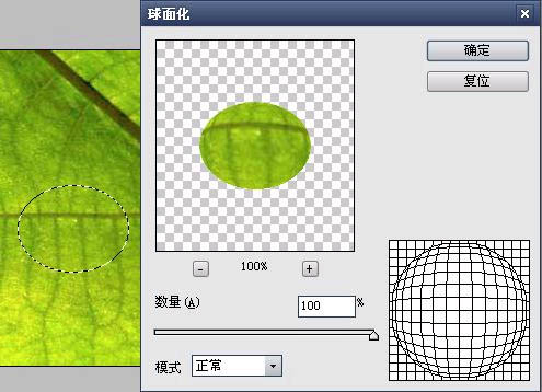 Photoshop打造绿叶上的漂亮的水珠