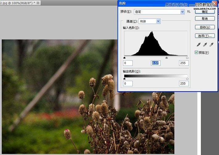 Photoshop通过为灰蒙蒙的图片调色实例讲解色阶的使用原理