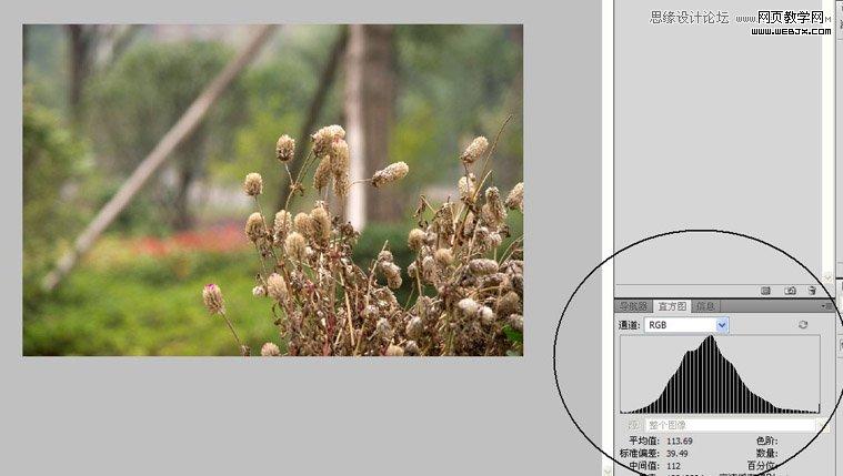Photoshop通过为灰蒙蒙的图片调色实例讲解色阶的使用原理