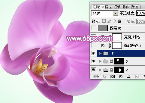 Photoshop设计制作出一朵漂亮逼真的紫色蝴蝶兰