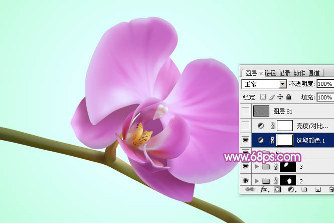 Photoshop设计制作出一朵漂亮逼真的紫色蝴蝶兰