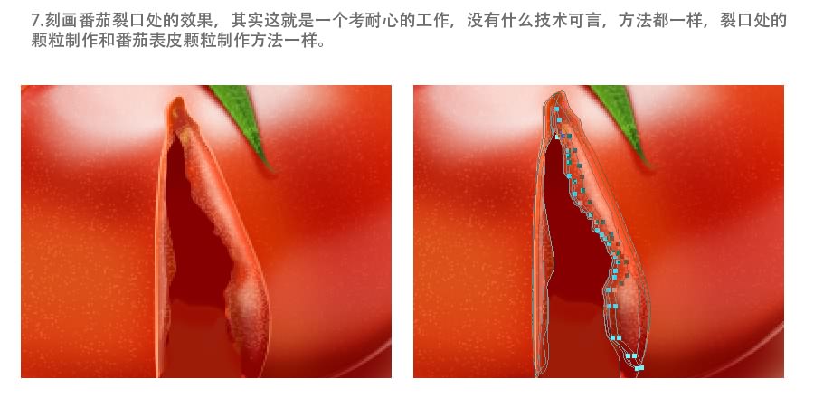 photoshop设计制作出一个裂开的红色番茄效果教程