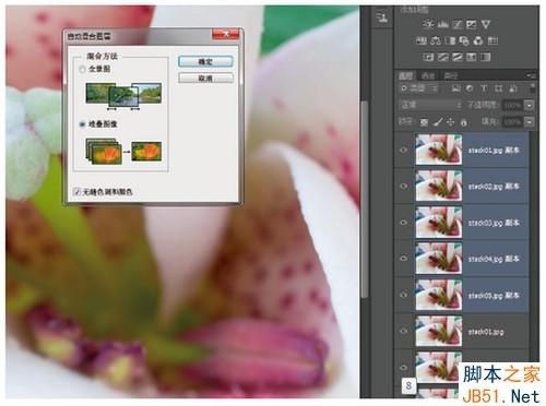PS使用自动混合命令做景深拼接制造出清晰效